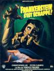 FRANKENSTEIN (FRANKENSTEIN)